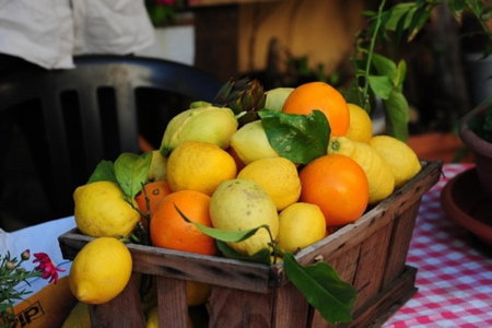 Agriturismo del Pigato - Bio Vio, Albenga, Italy