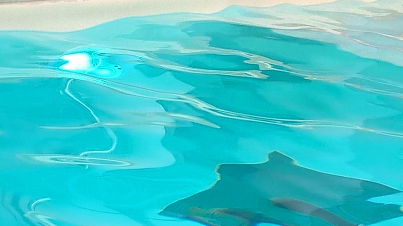 Hotel Terme Belvedere, Abano Terme, Italy