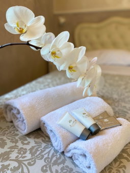 Domus Valadier B&B Guesthouse, Fiumicino, Italy