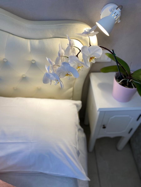 Domus Valadier B&B Guesthouse, Fiumicino, Italy