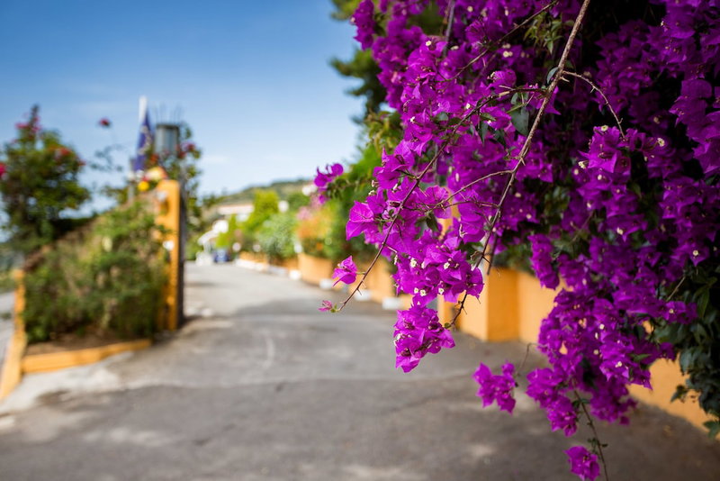 Hotel Santa Lucia, Parghelia, Italy