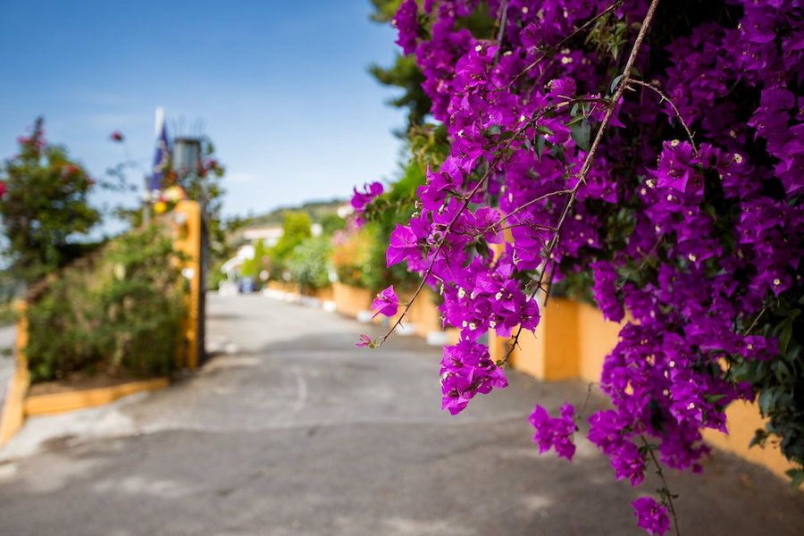 Hotel Santa Lucia, Parghelia, Italy