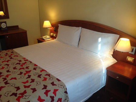 Hotel Piero Della Francesca, Arezzo, Italy