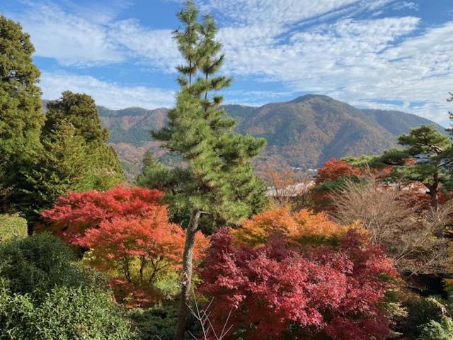 Hotel Marroad Hakone, Hakone, Japan