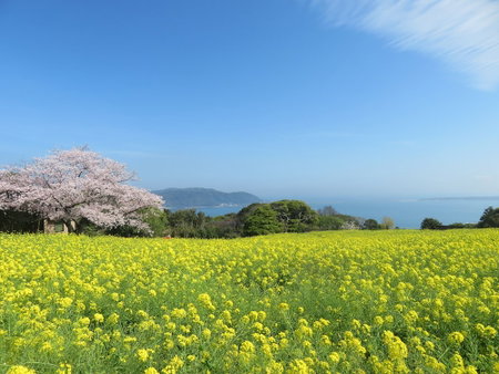 Nokonoshima Island Park Villa Sakimori, Fukuoka, Japan