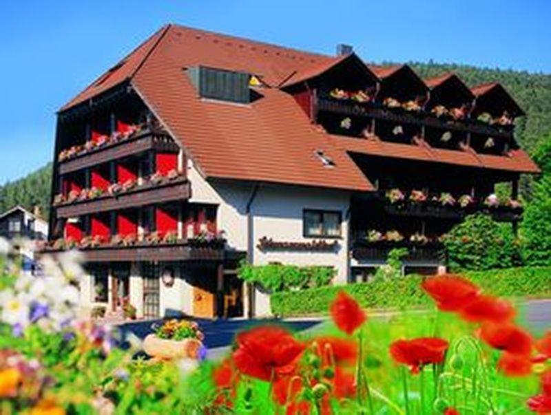 Hotel · Hotel Schwarzwaldhof, Enzklösterle