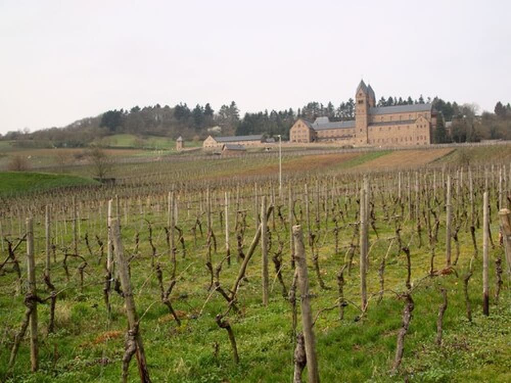 Weingut Jacob Lill IV. Nachfolger, Germany