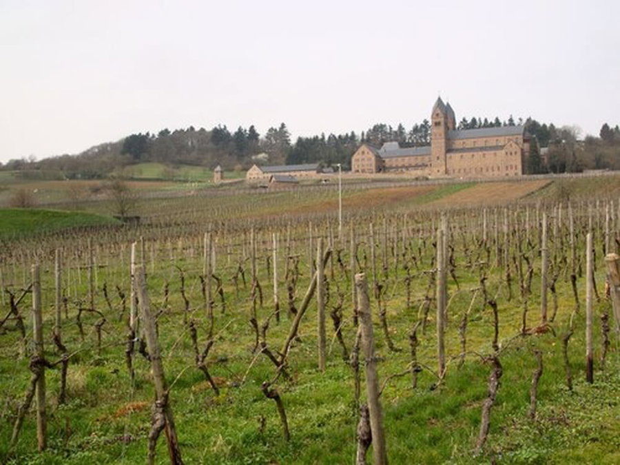 Weingut Jacob Lill IV. Nachfolger, Ruedesheim am Rhein, Germany