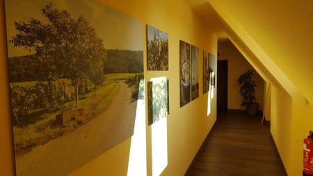 Der Patrizierhof - Weingut Gasthof Hotel - Familie Grebner, Großlangheim, Germany