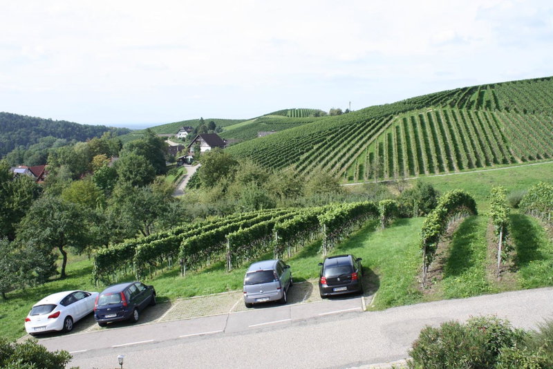 Pension am Weinberg, Sasbachwalden, Germany