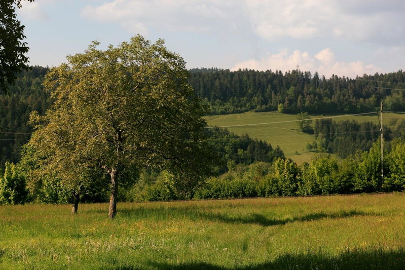 hotel rainhof scheune & naturpark restaurant (Kirchzarten), Kirchzarten, Germany
