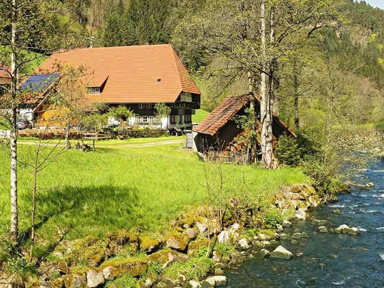 Gästehaus Ursula, Hornberg, Germany