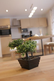 Apartment Claudia, Sinsheim, Germany