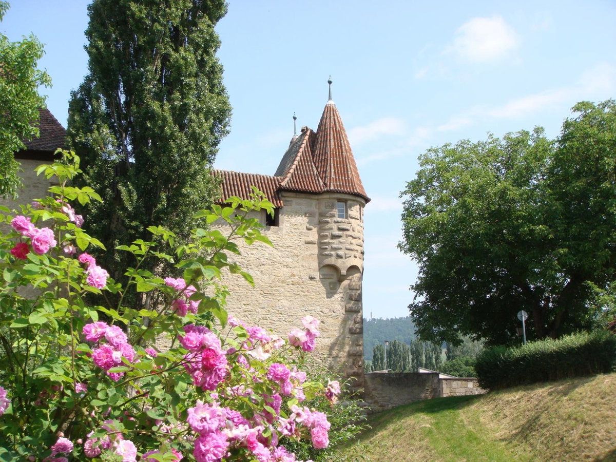 Hotel · Gästehaus Weigand, Iphofen