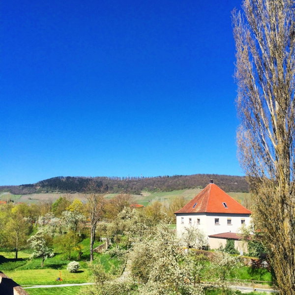 Gästehaus Weigand, Iphofen, Germany