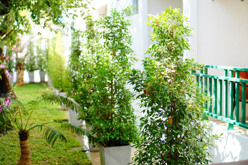 NP Hotel, Buriram, Thailand