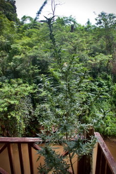 The Aerie, Pang Mapha, Thailand