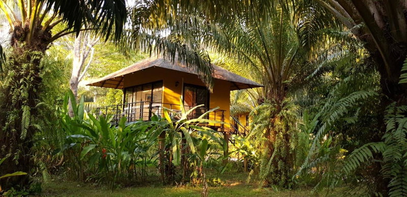 Anurak Lodge, Khao Sok, Thailand