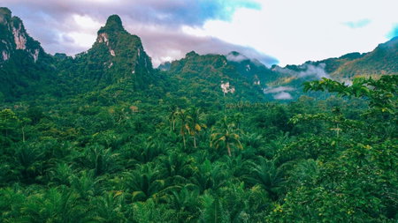 Anurak Lodge, Khao Sok, Thailand