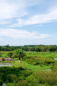 B3 Hotel, Nakhon Si Thammarat, Thailand