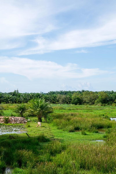 B3 Hotel, Nakhon Si Thammarat, Thailand