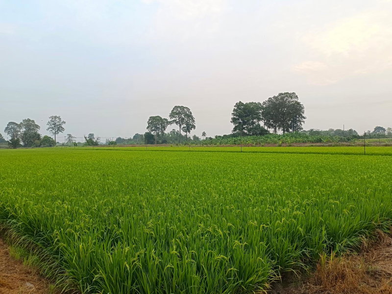Baanmae Uthaithani, Uthai Thani, Thailand