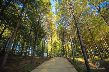 Villa PaSon, Khao Kho, Thailand