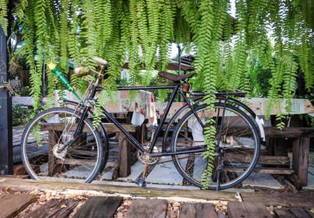 โรงแรมบ้านเพิ่มสุข อิมแพ็ค เมืองทอง, Pak Kret, Thailand