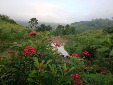 ภูร่องลม ฟาร์ม, Phetchabun, Thailand
