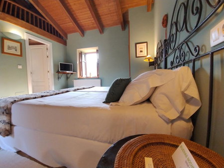Hotel Boutique Villa de Palacios - Palacio de Aras, San Miguel de Aras, Spain