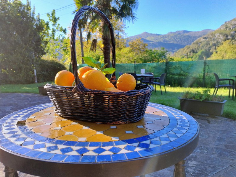 Hotel Boutique Villa de Palacios - Palacio de Aras, San Miguel de Aras, Spain