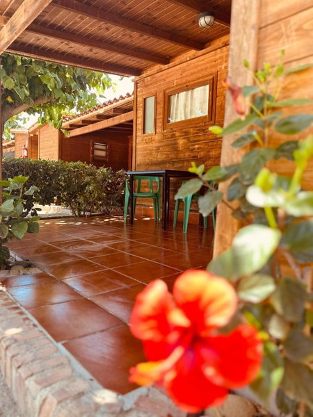 Camping Playa y Fiesta, Miami Platja, Spain