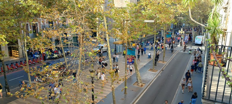 Ella Hostel Boqueria, Barcelona, Spain