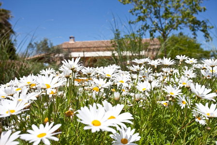 Agroturismo Mondrago -Antic Na Martina-, Portopetro, Spain