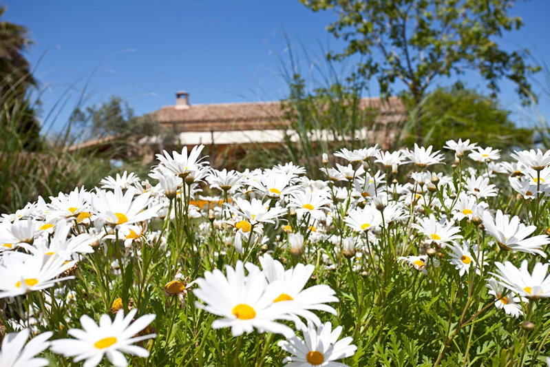 Agroturismo Mondrago -Antic Na Martina-, Portopetro, Spain