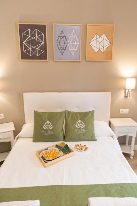 Eco Hotel Toledo, Toledo, Spain