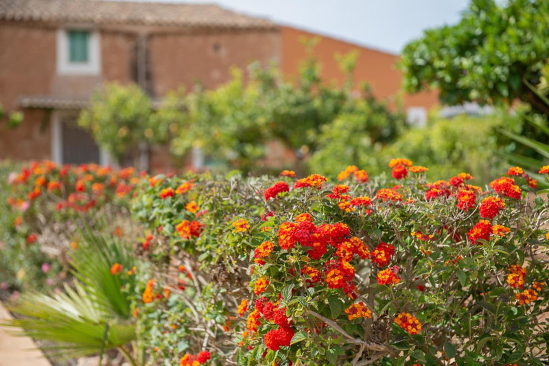 Finca Hotel Can Canals & Spa, Campos, Spain
