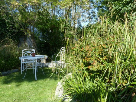 Littlemead - Newly renovated private studio near Glastonbury, Glastonbury, United Kingdom
