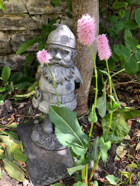 Littlemead - Newly renovated private studio near Glastonbury, Glastonbury, United Kingdom