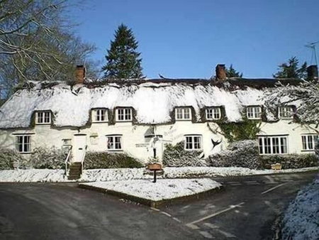 The Brace of Pheasants, Dorchester, United Kingdom