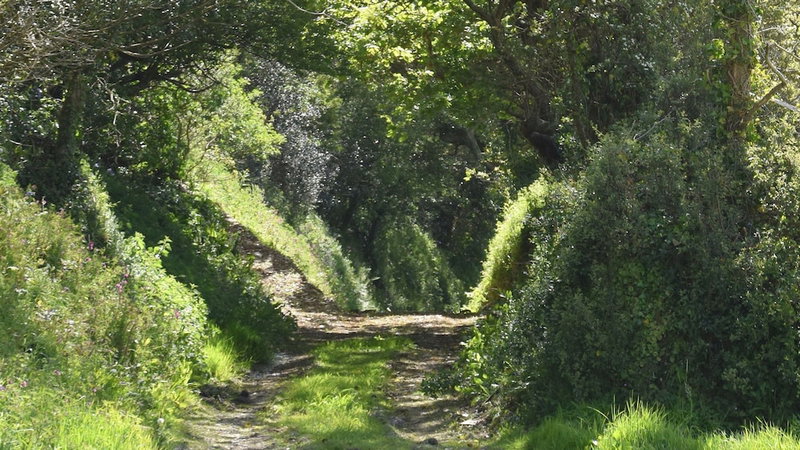 Degembris Farmhouse, Newquay, United Kingdom