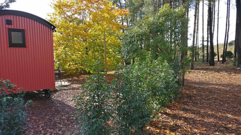 Forest Heath Shepherd's Huts, Ringwood, United Kingdom
