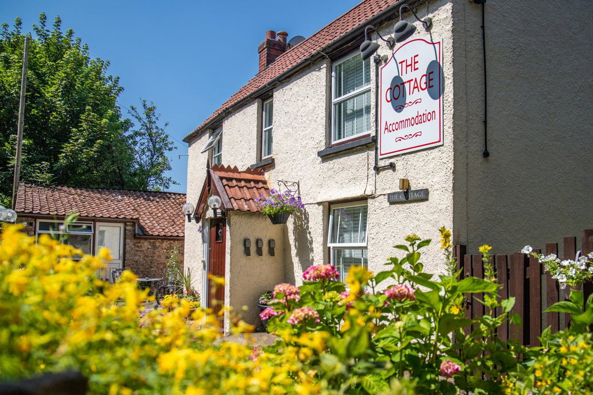 Hotel · The Cottage, Bristol