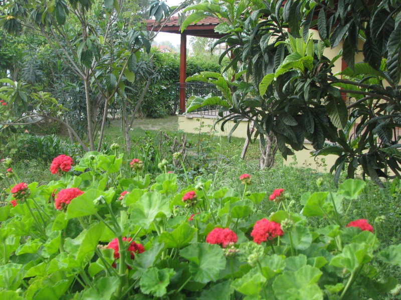 Alize Hotel, Göcek, Turkey