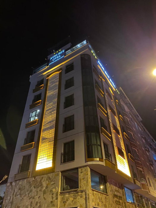 Avni Bey Otel, Araklı, Turkey