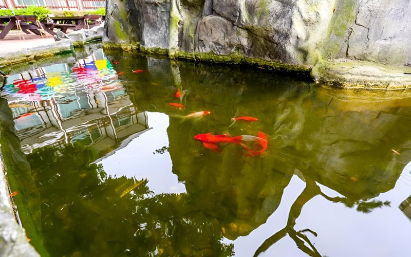 Taean Sinduri Park Pension, Taean, South Korea