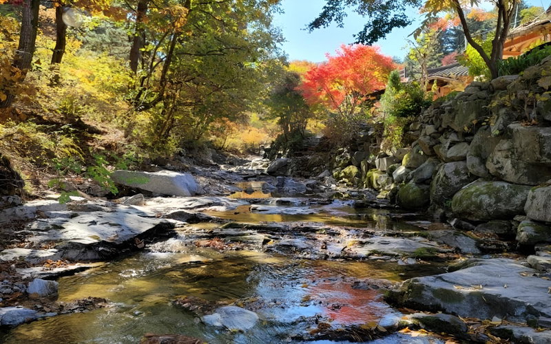 Gapyeong Dumesangol Pension, Gapyeong, South Korea
