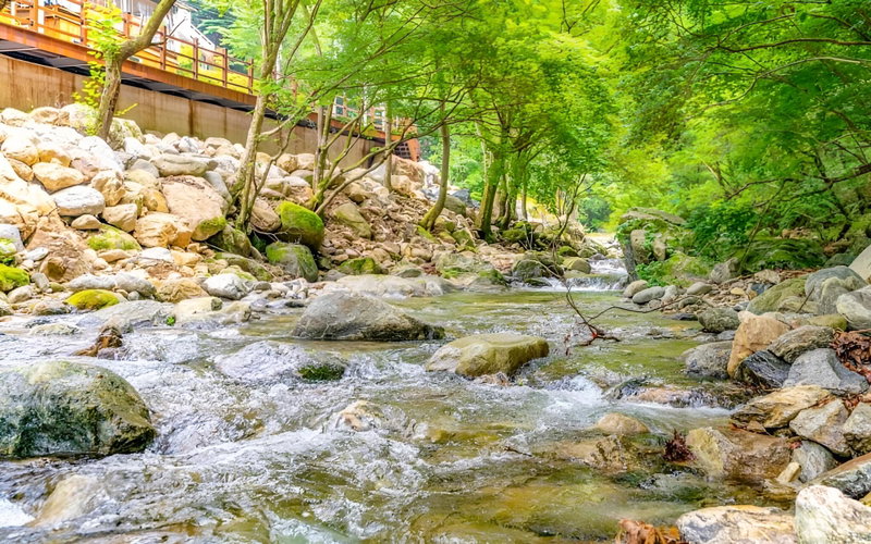 Gapyeong Krabi Pension, Gapyeong, South Korea