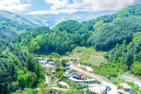 Gapyeong Pumkin Pension, Gapyeong, South Korea
