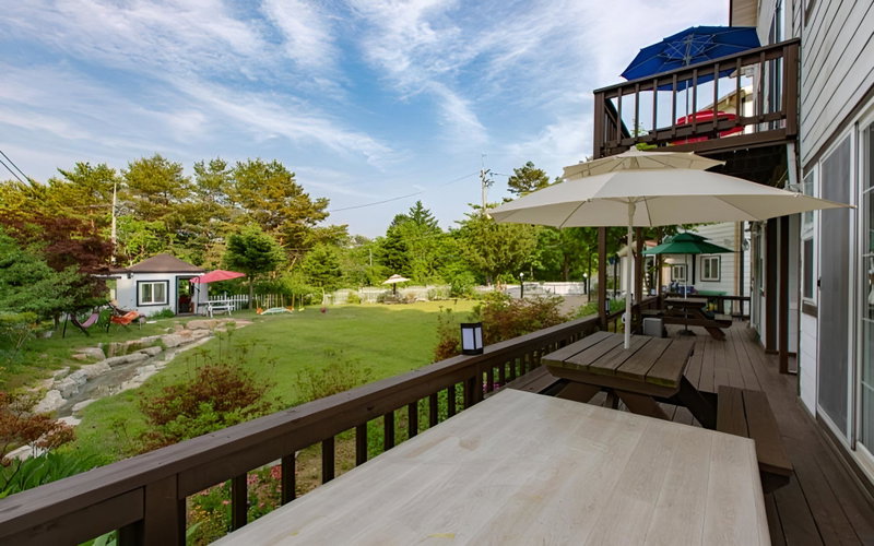 Pyeongchang Healing Hasigae Dog Pension, Bataypora, South Korea